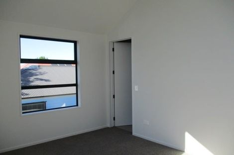 Photo of property in 121a Packe Street, Edgeware, Christchurch, 8013