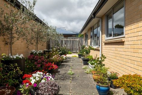 Photo of property in 19a Andrew Street, Stoke, Nelson, 7011