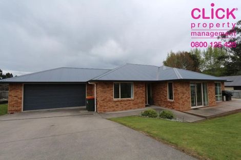 Photo of property in 130 North Taieri Road, Abbotsford, Dunedin, 9018
