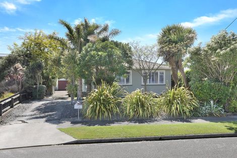 Photo of property in 8 Nairn Crescent, Awapuni, Palmerston North, 4412