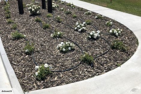 Photo of property in 4 Rose Manor Drive, Springlands, Blenheim, 7201