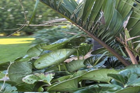 Photo of property in 169 Upper Pitone Road, Pitone, New Plymouth, 4374