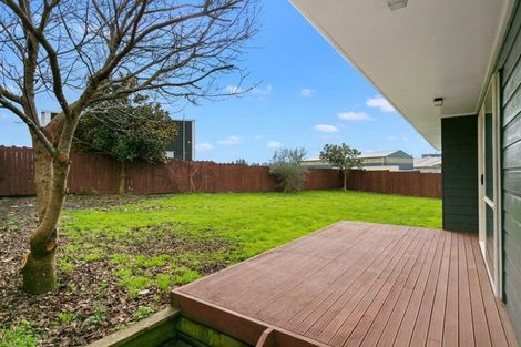 Photo of property in 24 Goodwin Street, Tirau, 3410
