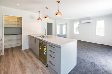 Photo of property in 3 Solomon Place, Witherlea, Blenheim, 7201