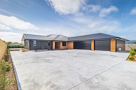 Photo of property in 44a Tainui Street, Levin, 5510