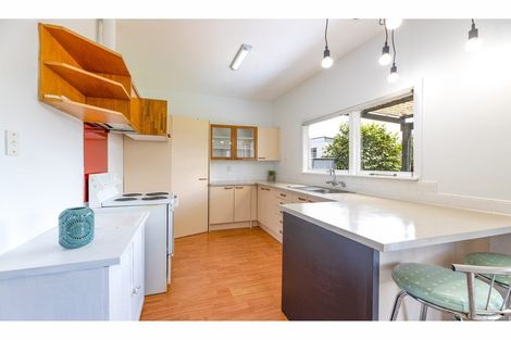 Photo of property in 131 Olliviers Road, Phillipstown, Christchurch, 8011