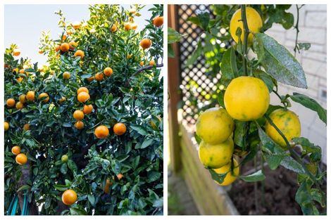 Photo of property in 44 Tilby Drive, Matua, Tauranga, 3110