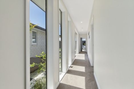 Photo of property in 11 Audrey Place, Flagstaff, Hamilton, 3210