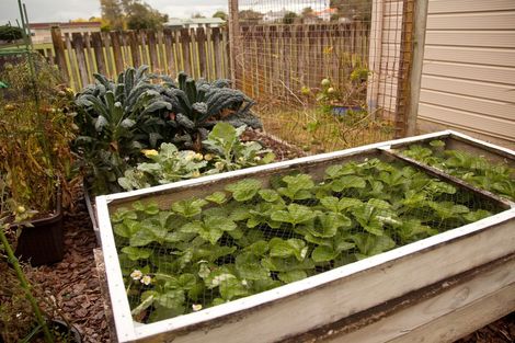 Photo of property in 8 Elizabeth Avenue, Morrinsville, 3300