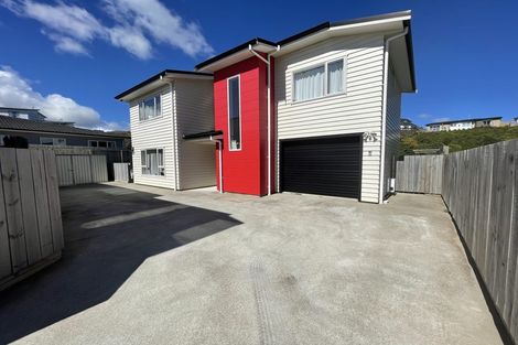 Photo of property in 9 Belize Grove, Grenada Village, Wellington, 6037