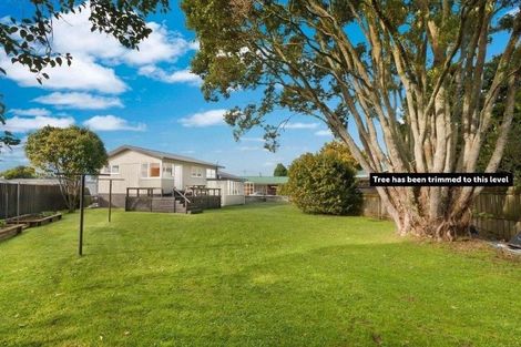 Photo of property in 18 Duke Avenue, Pukekohe, 2120