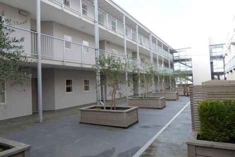 Photo of property in Luxford Villas, 104/72 Herald Street, Berhampore, Wellington, 6023