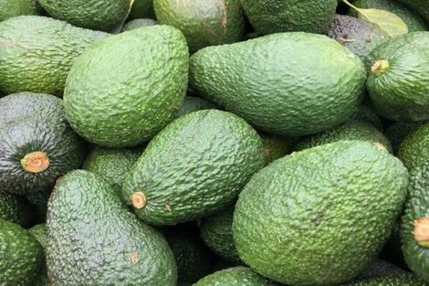 Photo of property in 313 Youngson Road, Whakamarama, Tauranga, 3179