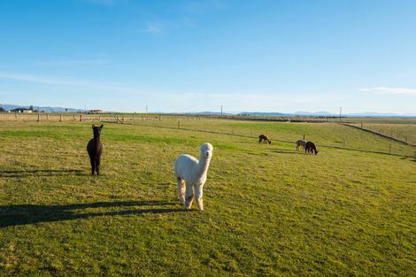 Photo of property in 361 Marshall Road, Otaio, Timaru, 7971