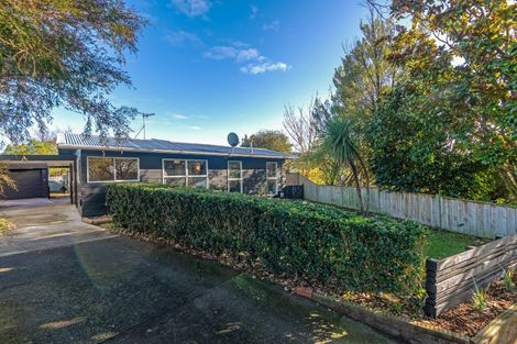 Photo of property in 17 Wyndham Street, Awapuni, Palmerston North, 4412