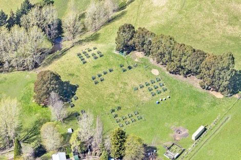 Photo of property in 2130 Omihi Road, Greta Valley, Amberley, 7483