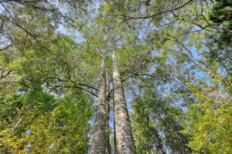 Photo of property in 103 Pebblebrooke Road, Mangawhai, Kaiwaka, 0573