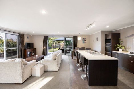 Photo of property in 22 Santiago Place, Flagstaff, Hamilton, 3210