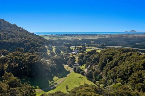 Photo of property in 6 Kereru Lane, Matata, 3194