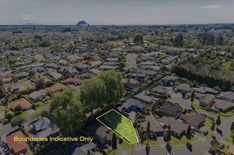 Photo of property in 11 Edwin Grove, Bethlehem, Tauranga, 3110