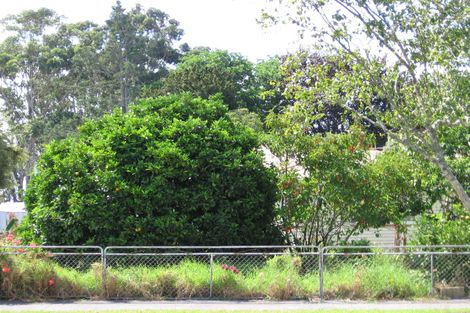 Photo of property in 161 Avondale Road, Avondale, Auckland, 1026