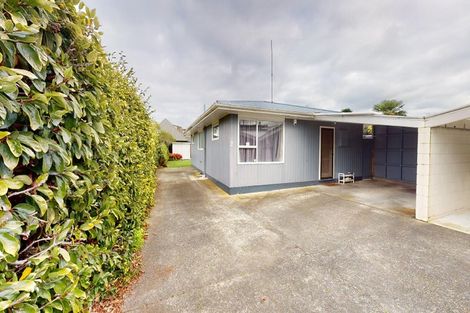 Photo of property in 84a Fitzroy Street, Terrace End, Palmerston North, 4410