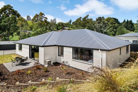 Photo of property in 9 Rose Drive, Concord, Dunedin, 9018