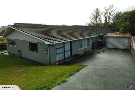 Photo of property in 23 Hanover Street, Wellsford, 0900