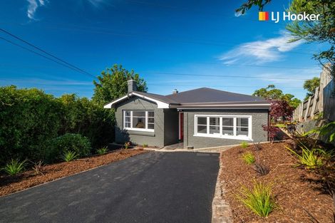 Photo of property in 39 Forfar Street, Clyde Hill, Dunedin, 9011