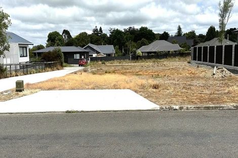 Photo of property in 12a Pukepapa Road, Marton, 4710