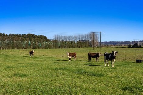 Photo of property in 24 Willow Lane, Edgecumbe, Whakatane, 3192