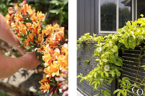 Photo of property in 65 Muricata Avenue, Mount Maunganui, 3116