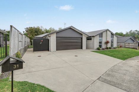 Photo of property in 31 Ruba Way, Ohauiti, Tauranga, 3112