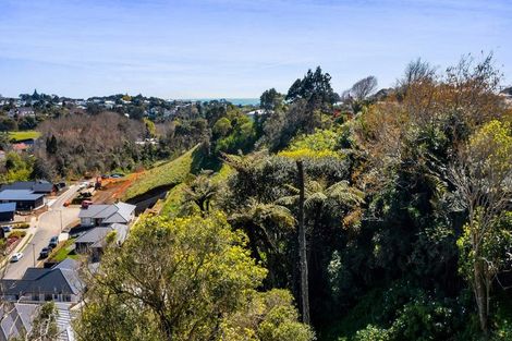 Photo of property in 18 Selwyn Street, Lower Vogeltown, New Plymouth, 4310
