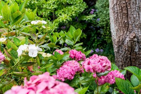 Photo of property in 61 Cannington Road, Maori Hill, Dunedin, 9010