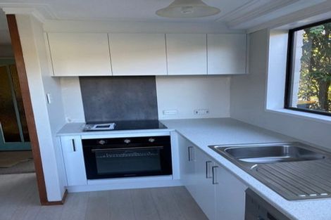 Photo of property in 36 Littlebourne Road, Roslyn, Dunedin, 9010