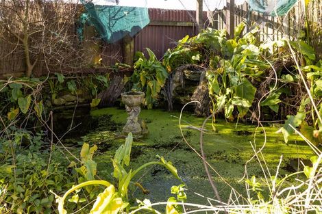 Photo of property in 3 Wests Road, Ward, Seddon, 7285