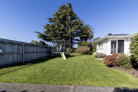 Photo of property in 151 Limbrick Street, Terrace End, Palmerston North, 4410