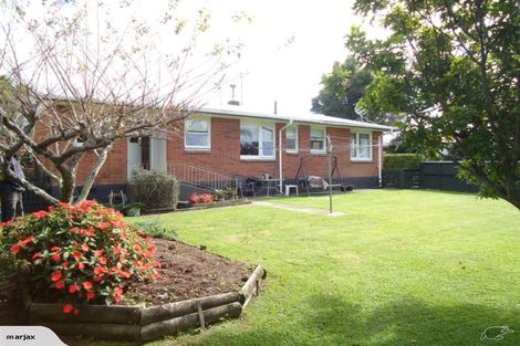 Photo of property in 19 Hillcrest Road, Otumoetai, Tauranga, 3110