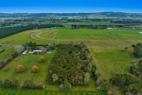 Photo of property in 449 Grieve Road, Te Teko, Whakatane, 3193