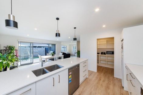 Photo of property in 71 North Street, Ashhurst, 4810