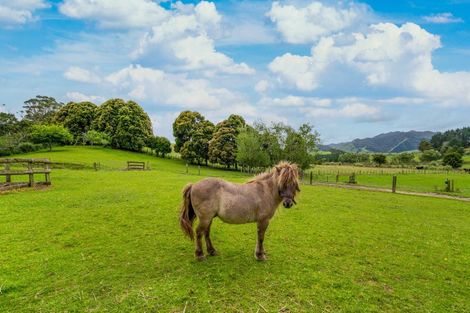 Photo of property in 410 Paradise Road, Tangiteroria, 0381