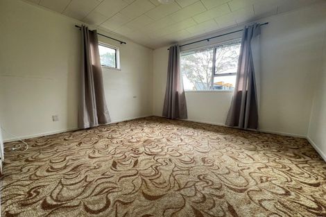 Photo of property in 41 Larissa Avenue, Henderson, Auckland, 0610