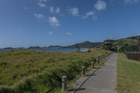 Photo of property in 42 Skippers Road, Opito Bay, Whitianga, 3592