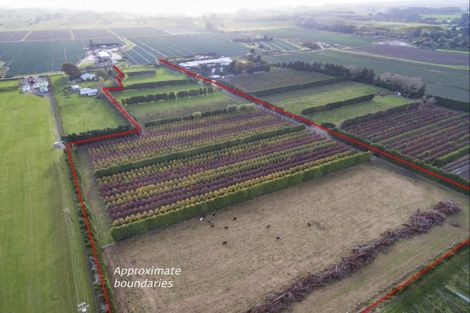 Photo of property in 104 Hoggs Road, Kuku, Levin, 5570