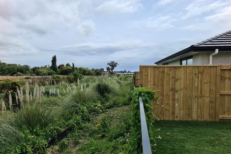 Photo of property in 11 Hinaki Street, Poike, Tauranga, 3112
