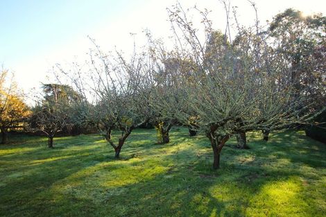 Photo of property in 78 Awamoa Road, Holmes Hill, Oamaru, 9401