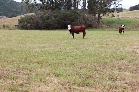 Photo of property in 1453 Tangowahine Valley Road, Tangowahine, Dargaville, 0372