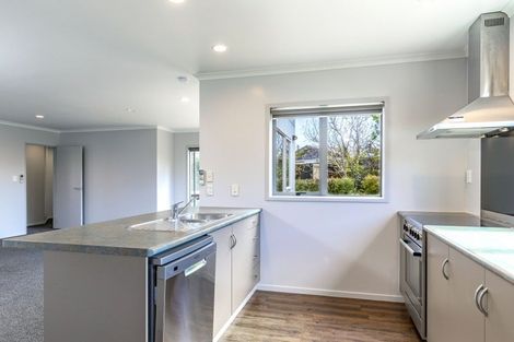 Photo of property in 14a Belvue Crescent, Witherlea, Blenheim, 7201