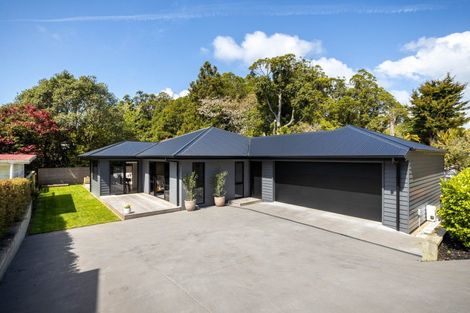 Photo of property in 25a Fernleigh Street, Ferndale, New Plymouth, 4310